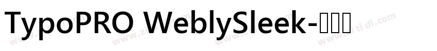 TypoPRO WeblySleek字体转换
